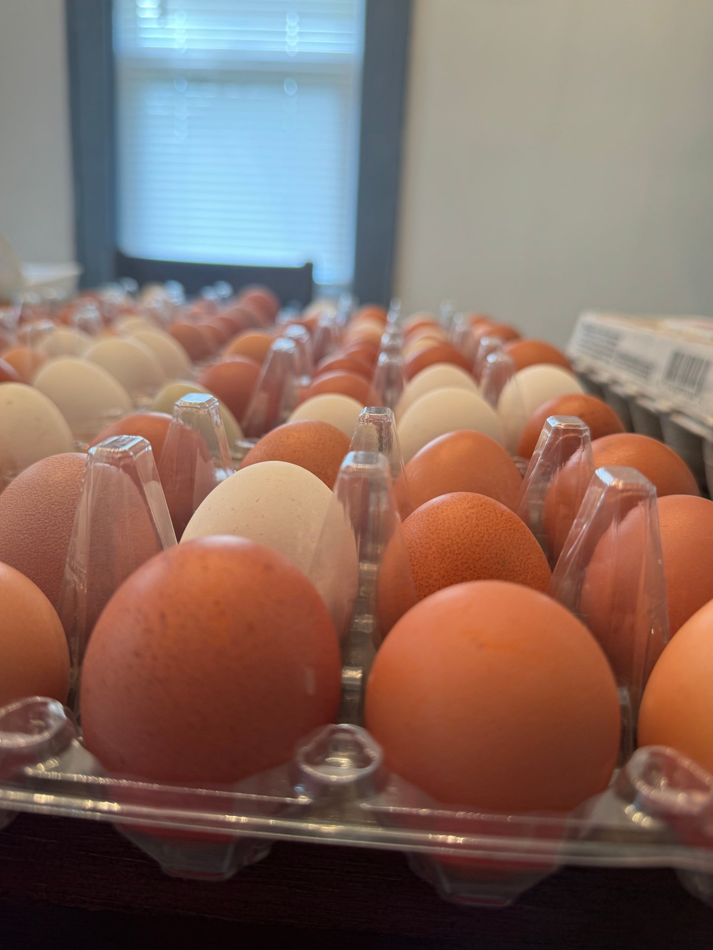 Farm Fresh Eggs