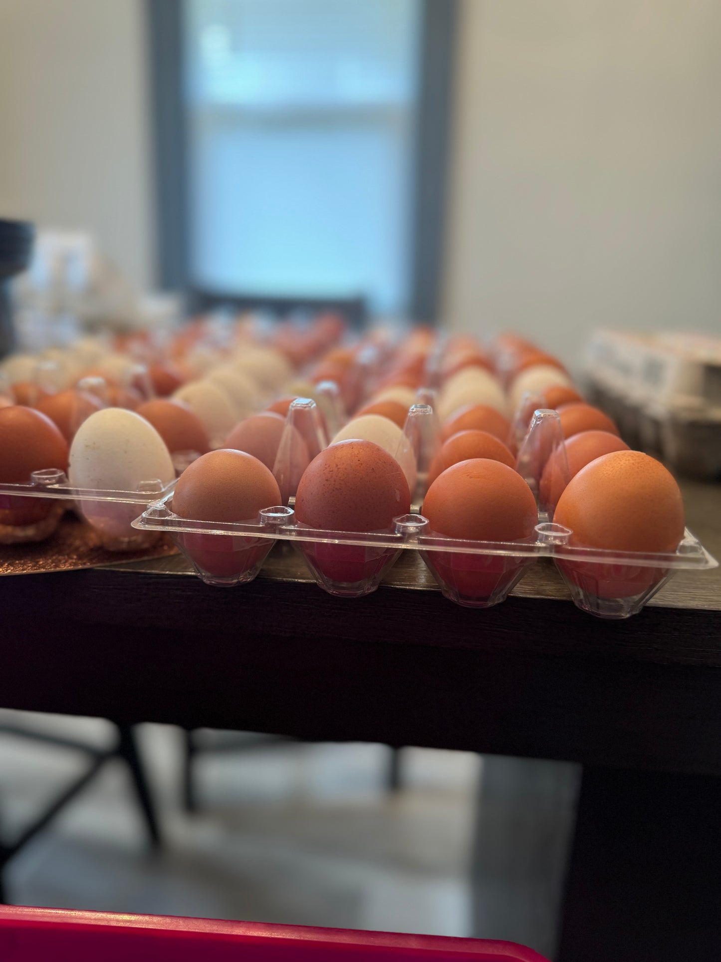 Farm Fresh Eggs Local Subscription