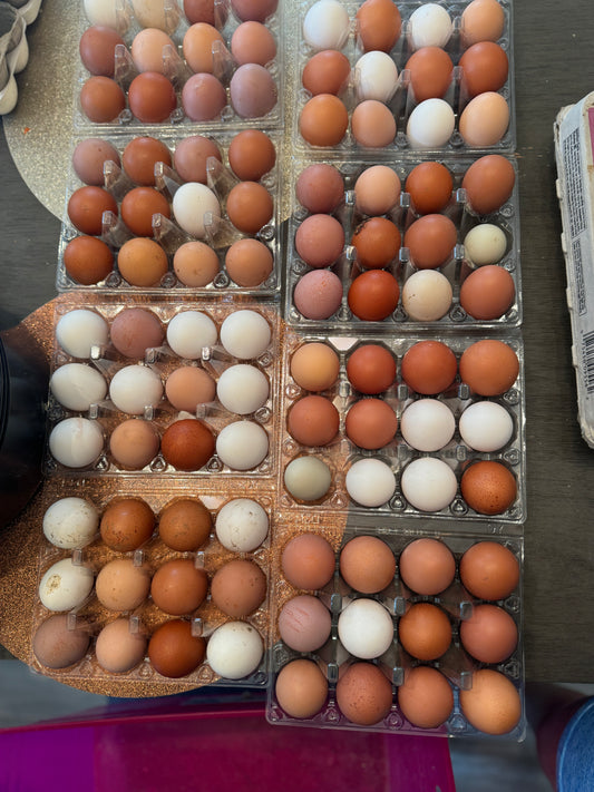 Farm Fresh Eggs