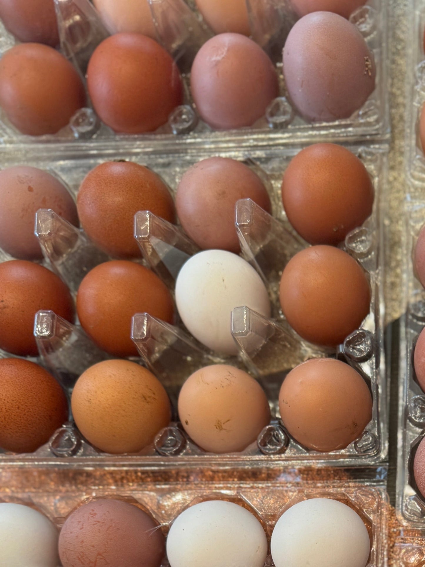 Farm Fresh Eggs